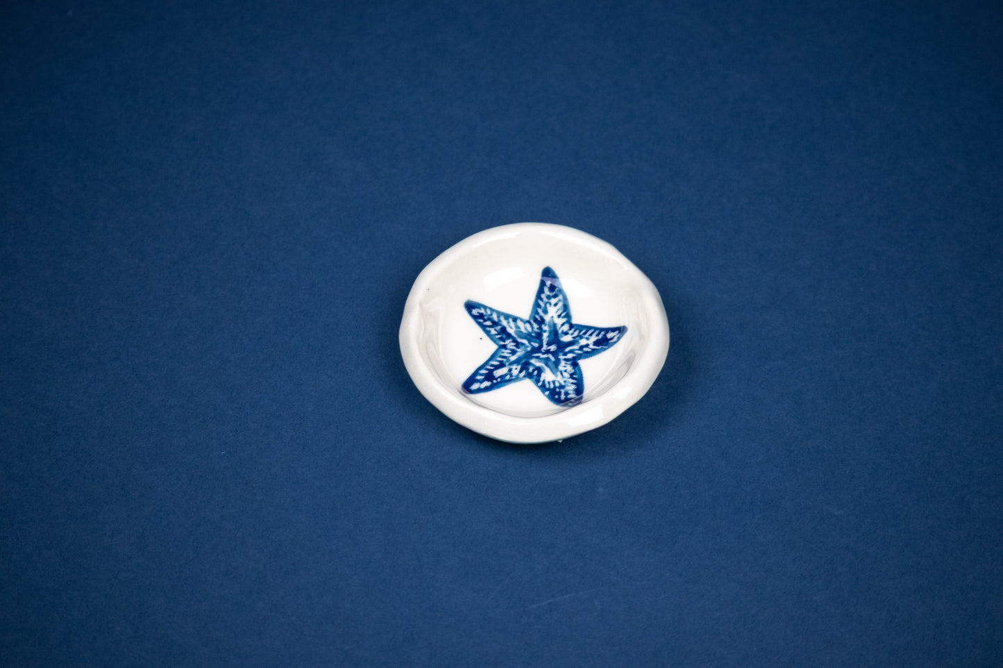 MYSTERY MINI 2" CIRCLE DISH - SEASHELLS